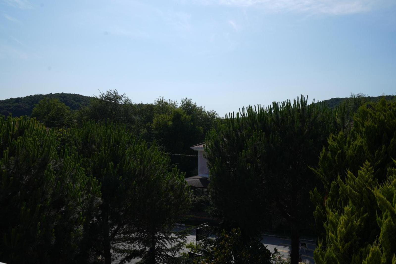 Butterfly Boutique Hotel Agva Εξωτερικό φωτογραφία